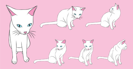 Minimalist White Cat Blue Eyes Collection.