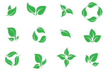 Green leaf icons set. Leaves icon on isolated background. Collection green leaf. Elements design for natural, eco, vegan, bio labels. Vector illustration. Ecology leaf element.