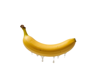 Ripe banana with dripping white liquid on transparent background healthy eating fruit potassium snack diet 110 chars