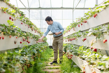 asian man in green house