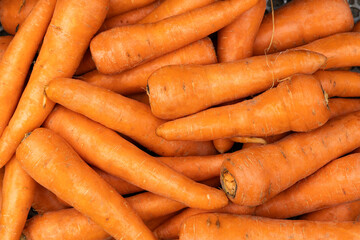 Daucus carota - Lots of organic carrots at the Colombian farmers market