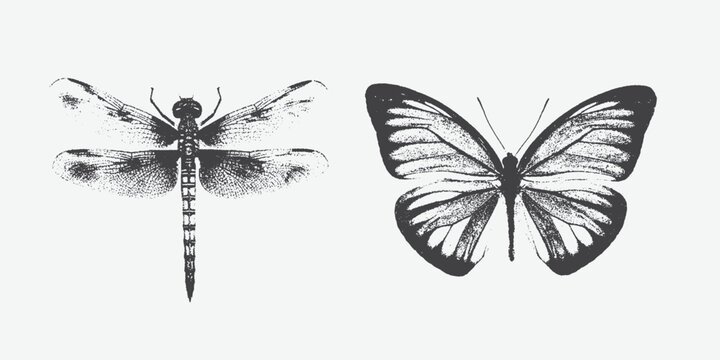 Dragonfly and butterfly for grunge punk Y2K collage design with halftone stipple effect. Vector illustration in stipple halftone brutalist retro design