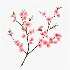 Fototapeta premium Branches with pink blossoms and small green leaves on white space on isoleted white background