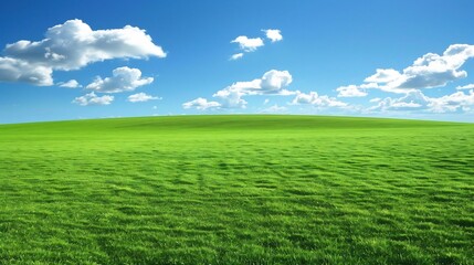 Obraz premium Expansive green fields stretching into horizon under a bright blue sky evoking a sense of freedom and natures beauty perfect for agriculture or outdoor lifestyle branding