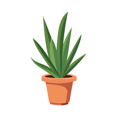 House plants in pots. Element for design house, room or office. Isolated element on white background.