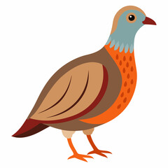 Francolin Isometric Illustrations