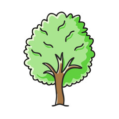 hornbeam tree icon, hornbeam tree vector illustration-simple illustration of hornbeam tree, perfect for hornbeam tree logos and icons