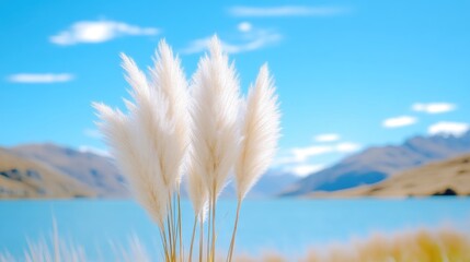 Obraz premium Delicate white pampas grass swaying gently by serene lake, majestic mountains in background, clear blue sky, and natural beauty and tranquility concept.