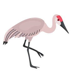 Sandhill crane icon clipart avatar logotype isolated illustration