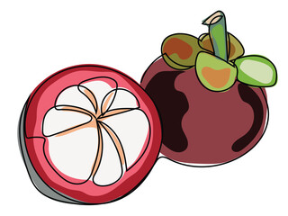 Mangosteen is in a continuous line and drawing on a white background.