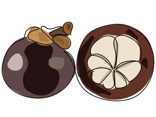 Mangosteen is in a continuous line and drawing on a white background.