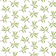 Olive branches and leaves Seamless Pattern. Vector illustrations. Botanical background