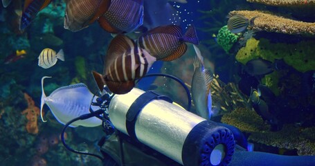 Toronto, Canada - May 6, 2023: Underwater scene bursts with diver exploring vibrant coral reef,...