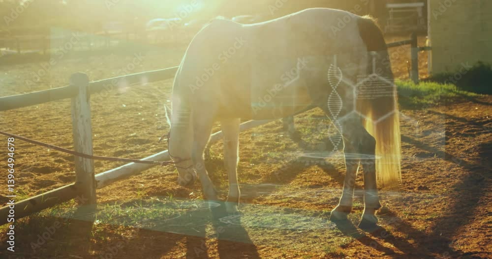 Poster horse grazing in sunlit field with dna strand and data processing animation overlay