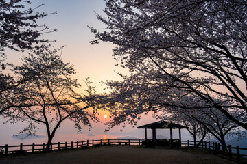 紫雲出山の絶景