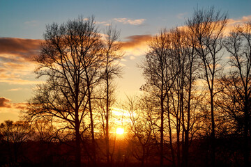 Fototapeta premium The sunset is bright behind the trees in October