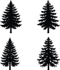 Pine Tree Silhouette vector illustration