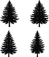 Pine Tree Silhouette vector illustration