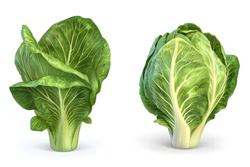 Fototapeta premium Bok Choy: Fresh Greens, Vibrant Veggies, Healthy Eating, Nutritional Powerhouse, Delicious Recipes, Culinary Delights, Garden Bounty, Cooking Inspiration, Vegetable Variety, Farm Fresh Produce