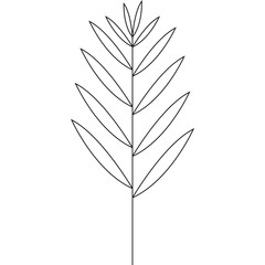 Leaf Line Illustration