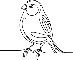 Elegant Finch Bird Vector Line Art Illustration