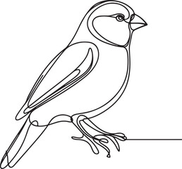 Elegant Finch Bird Vector Line Art Illustration