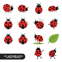 Ladybug Vector Set Cute Cartoon Icons.