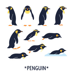 Obraz premium Penguin Set with Cartoon Antarctic Animals.