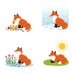 Fototapeta premium Fox Seasons Vector Autumn with Winter, Spring, and Summer.