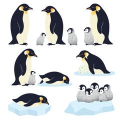 Obraz premium Emperor Penguins Family Antarctic Wildlife Illustration.