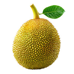 Vibrant green and yellow jackfruit with leaf