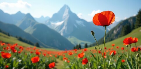 Fototapeta premium Solitary red poppy against majestic mountains, photography, image, peaks