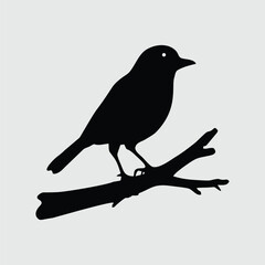 Bird Perched on Bare Branch Silhouette