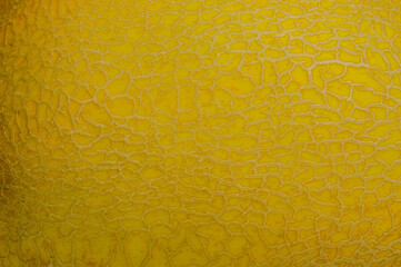 background texture surface of golden cantaloup