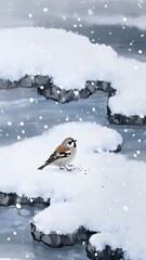 Naklejka premium bird on the snow