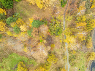 Aerial drone view of stunning colorful autumn fall forest.
