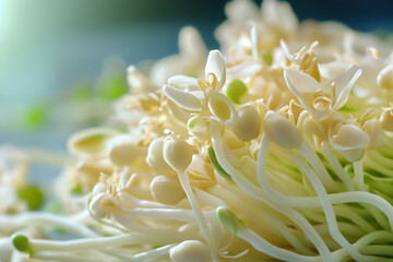 Close-up: White flower blooming elegantly against a blurred green background.