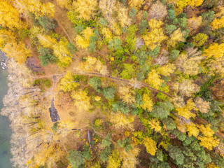 Aerial drone view of stunning colorful autumn fall forest.