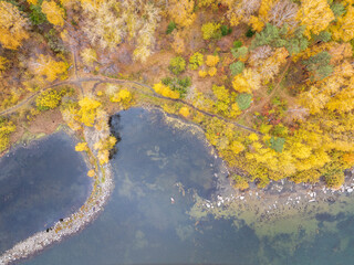 Colorful autumn forest with trees on the shore of a blue lake - top aerial view.