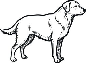 hand draw dog vector design mono color