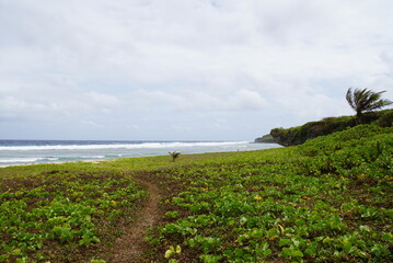 Tank Beach in Saipan Island