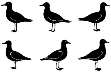 Seagull Silhouette Vector Bundle Featuring 6 Elegant Seagull Designs for Coastal Themed Projects, Beach Shop Logos, Wildlife Conservation Graphics, T-Shirt Prints, and Nautical Decor