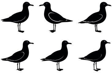 Stylized Seagull Silhouette Vector Set with 6 Unique Seagull Designs for Beach Themed Branding, Nautical Logo Creation, T-Shirt Graphics, Coastal Crafts, and Marine Wildlife Projects