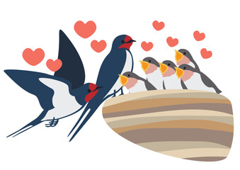 餌をねだるツバメの雛と親鳥のベクターイラストセット