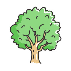 sycamore tree icon, sycamore tree vector illustration-simple illustration of sycamore tree, perfect for sycamore tree logos and icons