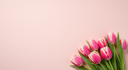 Beautiful composition spring flowers. Bouquet of pink tulips flowers on pastel pink background. Valentine's Day, Easter, Birthday, Happy Women's Day, Mother's Day. Flat lay, top view, copy space