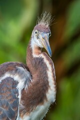 What are you  looking at?