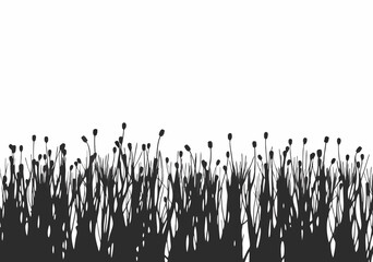 Naklejka premium wild flowers and grass field silhouette