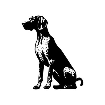 German Shorthaired Pointer breed dog, silhouette vector file.