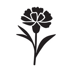 Carnation flower silhouette vector illustration white Background